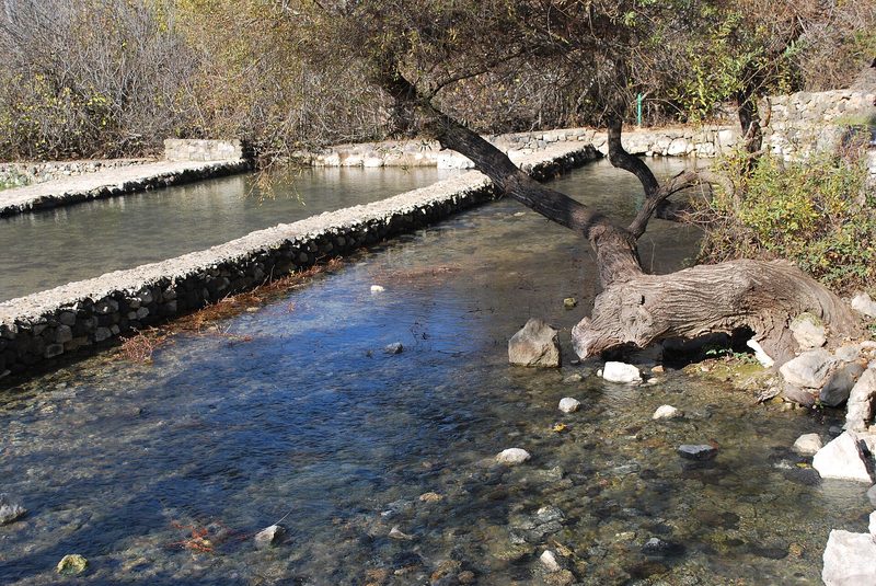 The springs near Banias, the site of Caesarea Philippi, at the foot of Mount Hermon