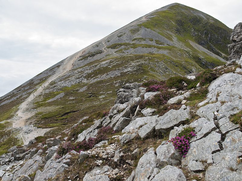 The bare, stony slope of Croagh Patrick, the holy mountain of County Mayo, Ireland, under a gray sky.